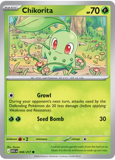 Chikorita