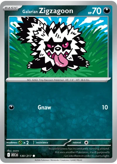 Galarian Zigzagoon