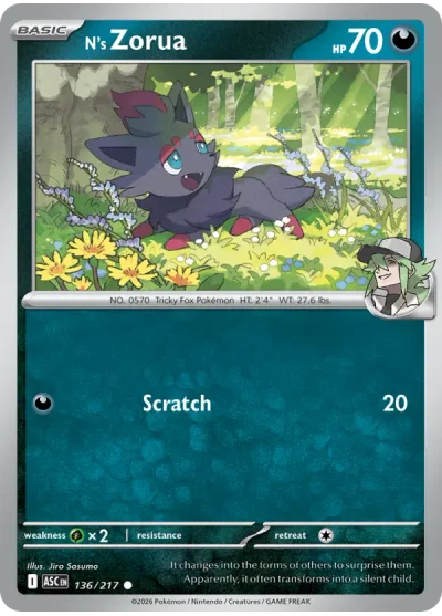 N’s Zorua